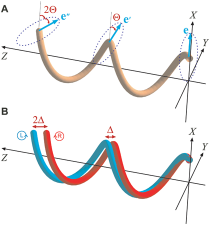 Spin-orbit interaction of light. (a) Evolution of the polarization vector (e 