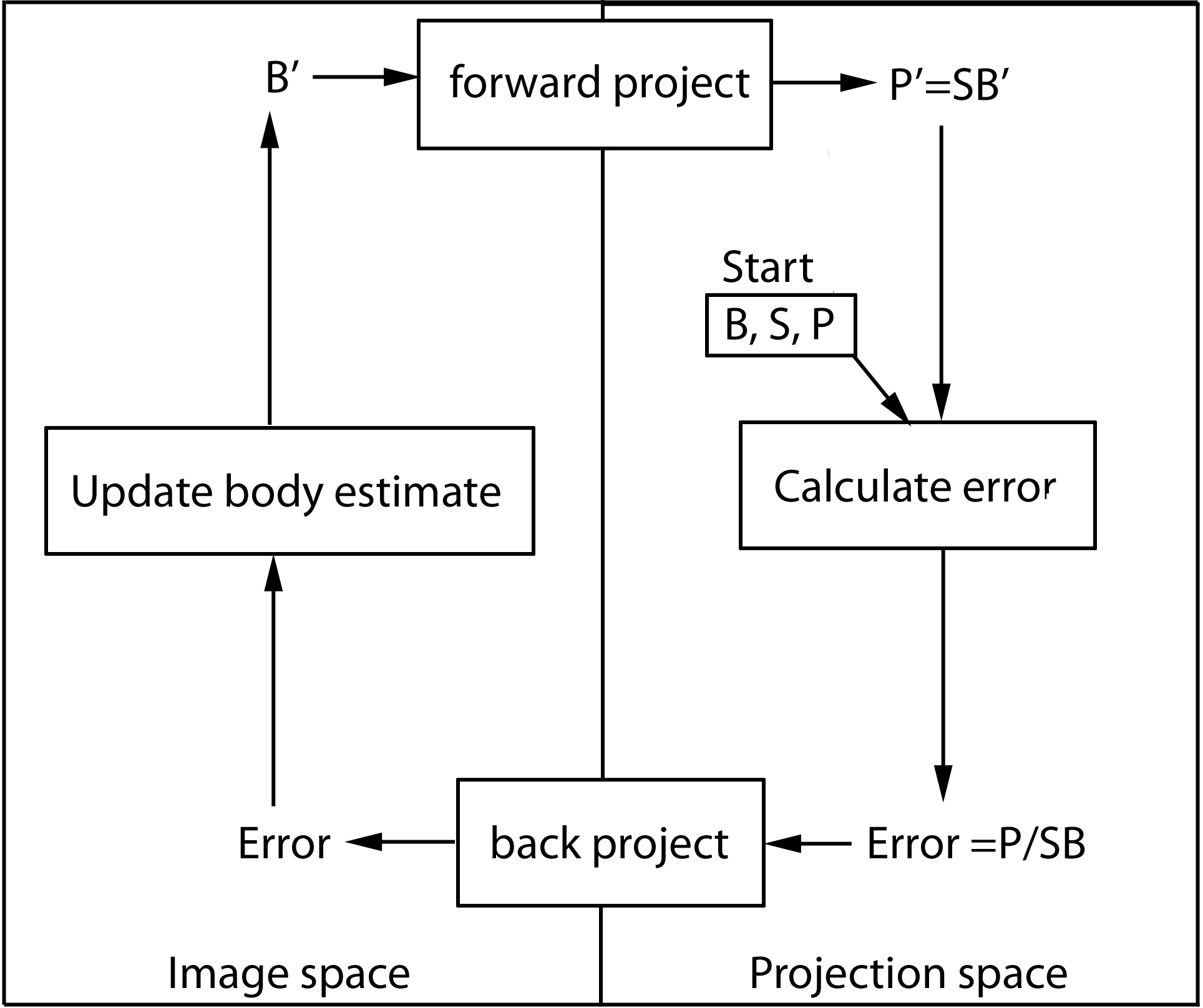 Optical Projection Tomography