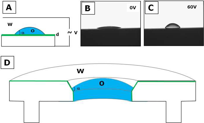 A Liquid Lens With Electro Optical Focus And Tilt Control