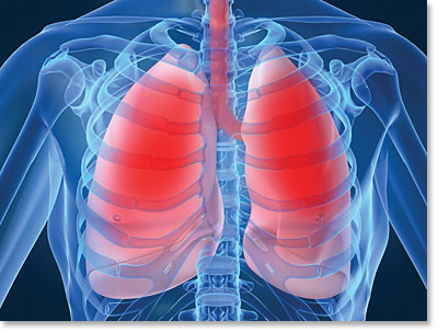 SPIE-AAPM-NCI Lung Nodule Classification Challenge