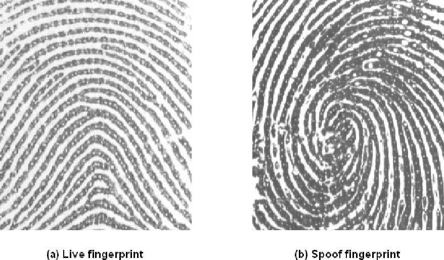 Novel methods for fingerprint image analysis detect fake fingers