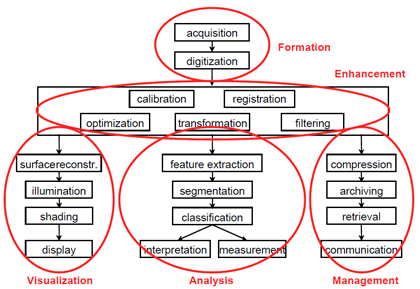 What Is The Meaning Of Robustness In Medical