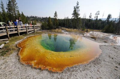 Mineral-colorized pool, Yellowstone National Park