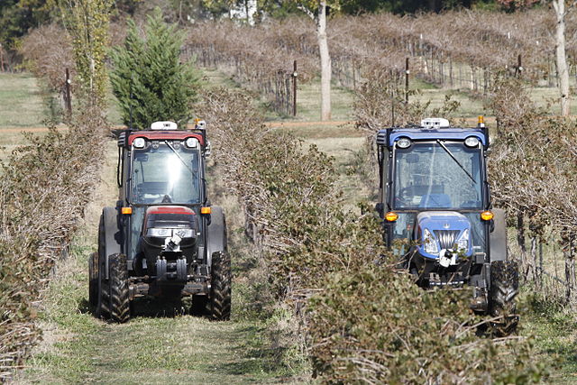Driverless compact tractors perform fully autonomous spraying tasks at a Texas vineyard