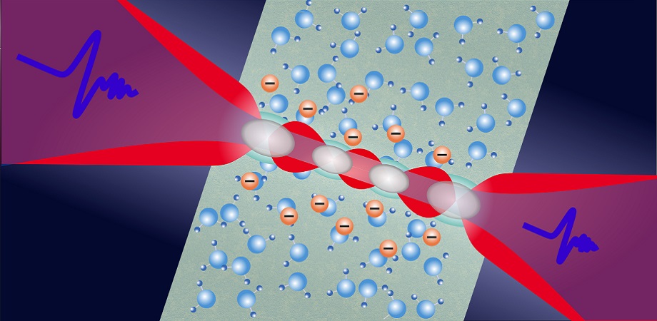 THz spectroscopy probes photoexcited plasma in water