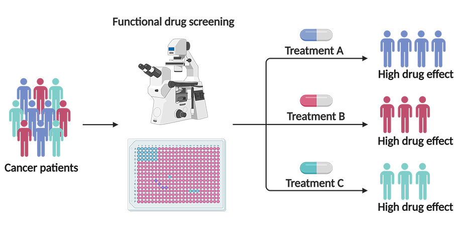 Redox imaging allows measurement of drug responses in lab-grown cancer  samples