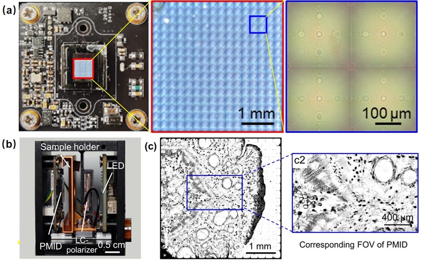 Chip-scale metalens array for polarization-embedded metalens imaging device (PMID) and compact portable microscope system (PMS)