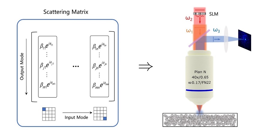 Scattering matrix method controls nonlinear light in scattering media.