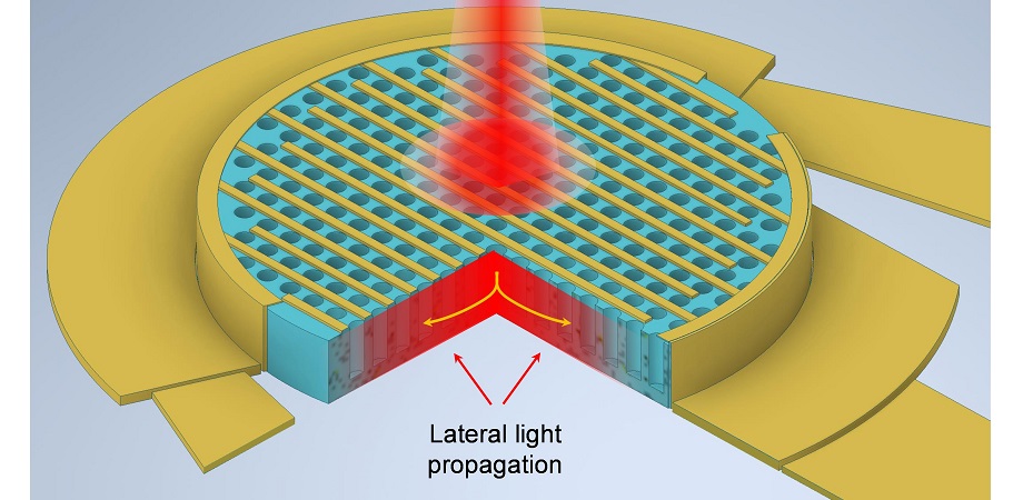 Enhanced light absorption in thin silicon photodetectors with photon- trapping structures