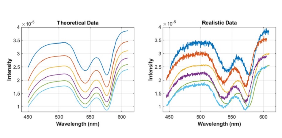 Training the proposed model with a simulated dataset of diffuse reflectance spectra data 