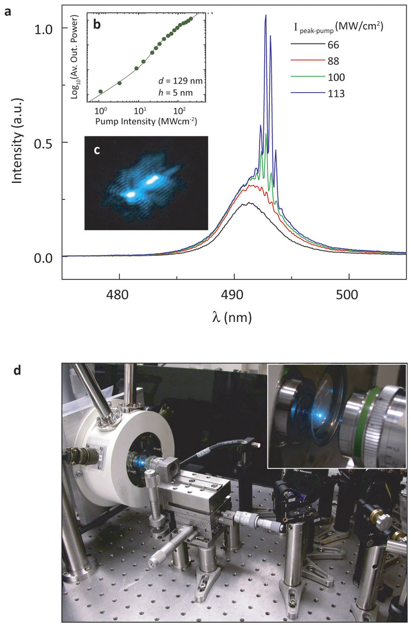 Plasmon lasers: light from the nanoworld