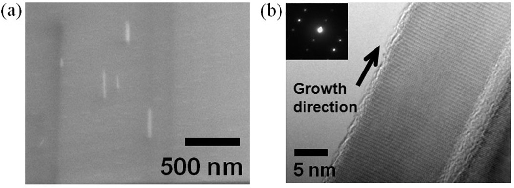 Gallium Nitride Laser