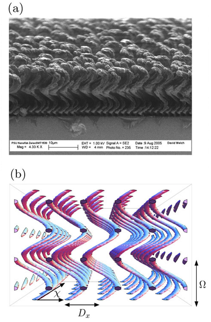 Sculptured thin films as versatile photonic structures