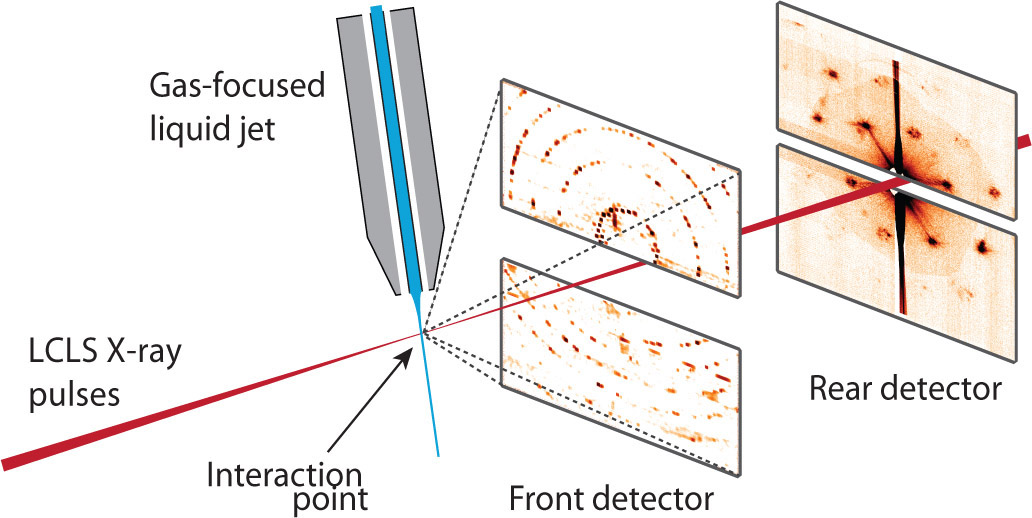 Protein crystallography using x-ray free-electron lasers