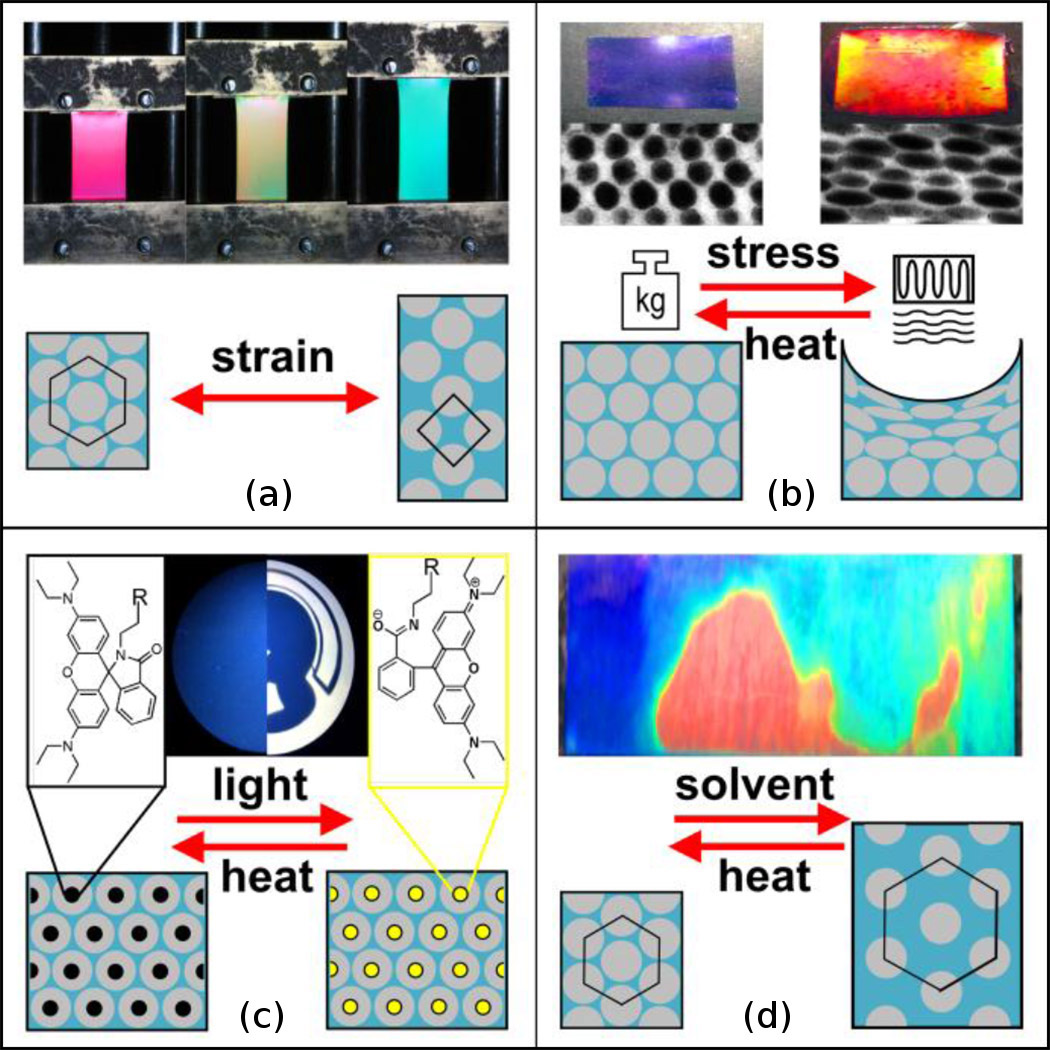 Artificial opal films with switchable colors
