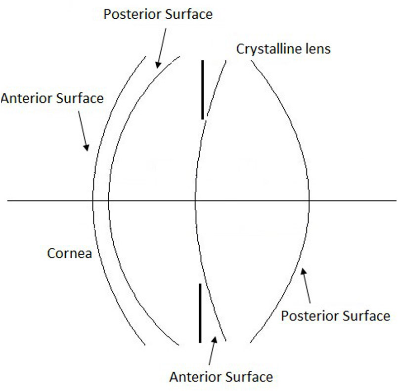 function of crystalline lens in human eye
