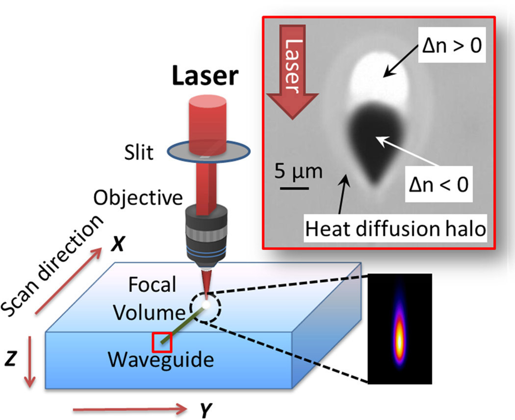 Femtosecond-laser-induced compositional changes for high-performance  photonics