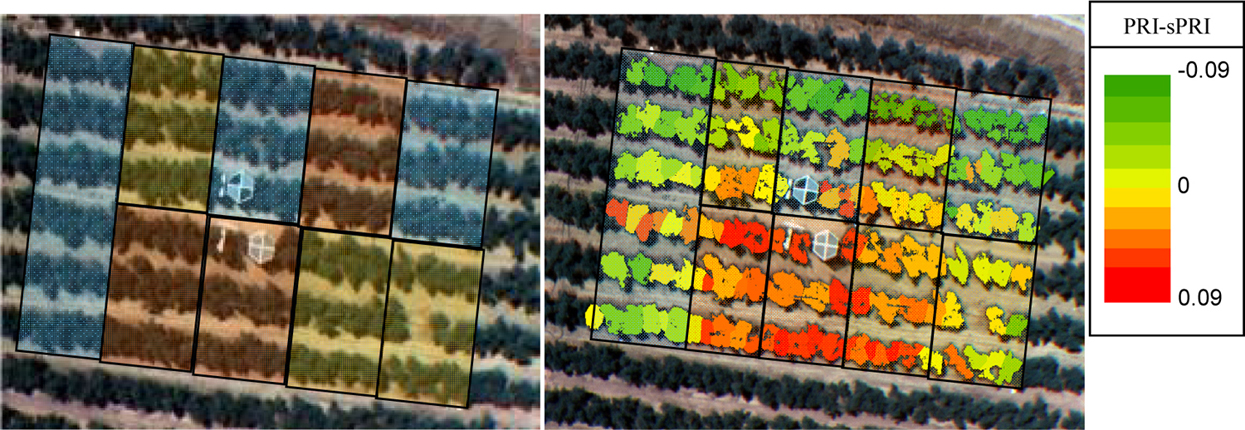 multispec remote sensing