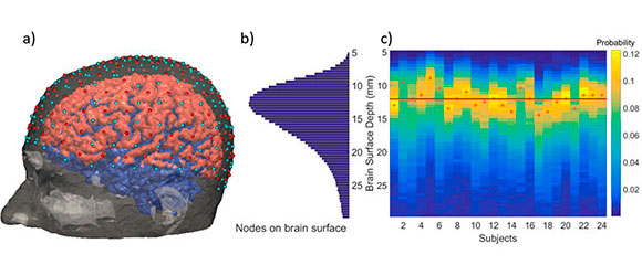 Neurophotonics journal press release image
