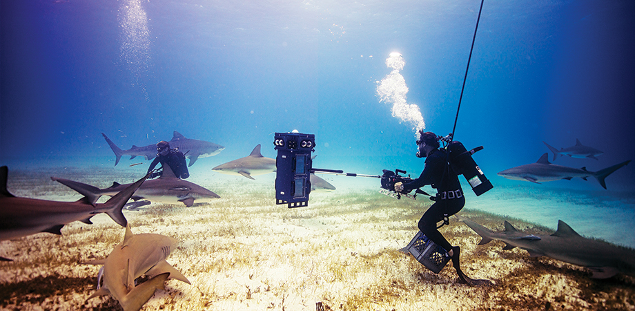 Undergraduate Thesis Or Project  Underwater Camera Systems : A