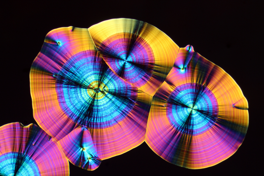 Microcrystals of ascorbic acid showing polarized light