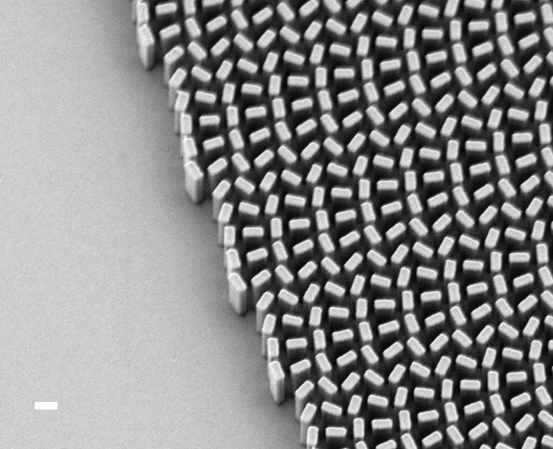 The nanofins on a metalens surface. 