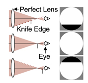 A simple, dual knife-edge test for phasing segmented aperture space  telescopes