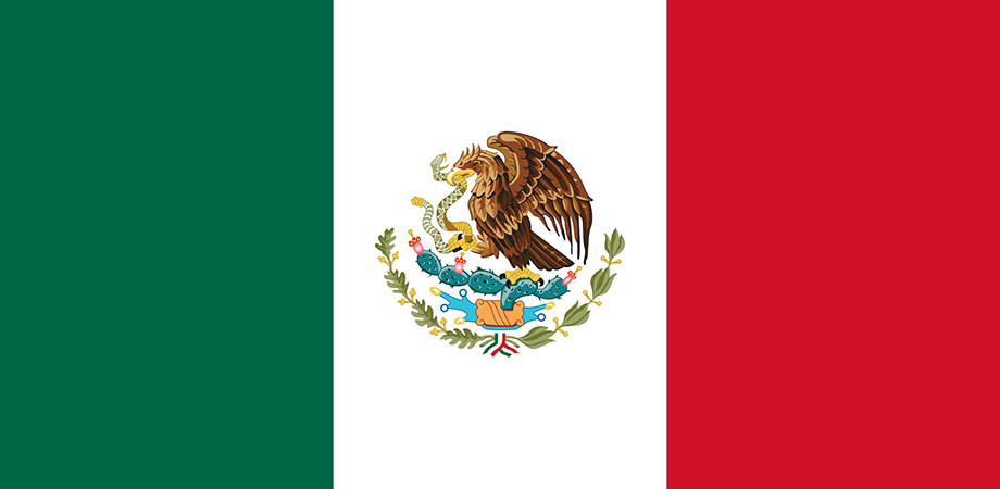 Mexican Flag